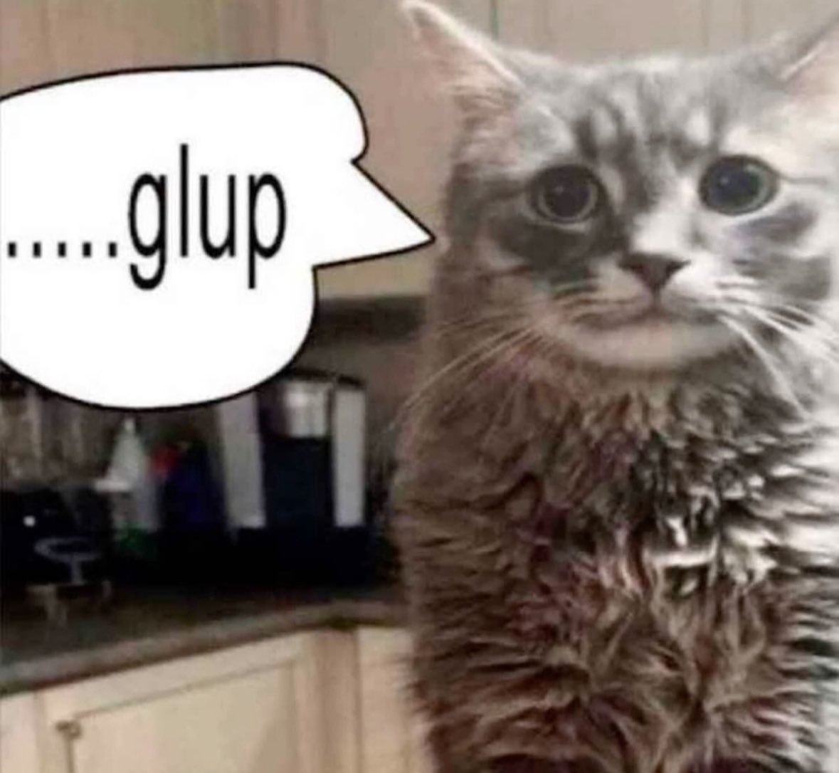 CatPosted post