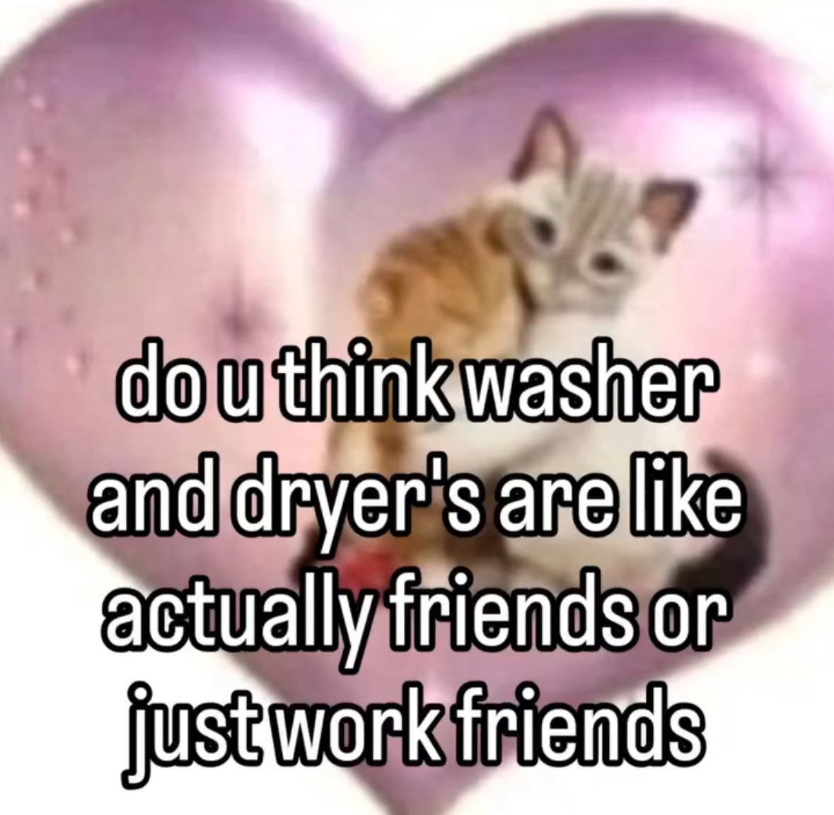 CatPosted post